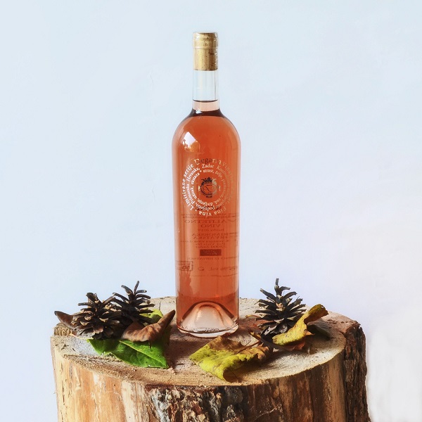 Rose 2019 Degarra Zadar Dalmatien Kroatien dalmatia croatia