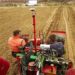 Degarra Wine Zadar - Building a new vineyard - This is during the planting of the vines for the POŠIP March 2019.