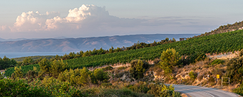 Degarra winemaking yeast zadar croatia kroatien